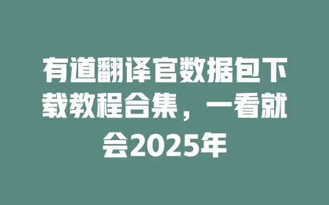 有道翻译官数据包下载教程合集,一看就会2025年 一